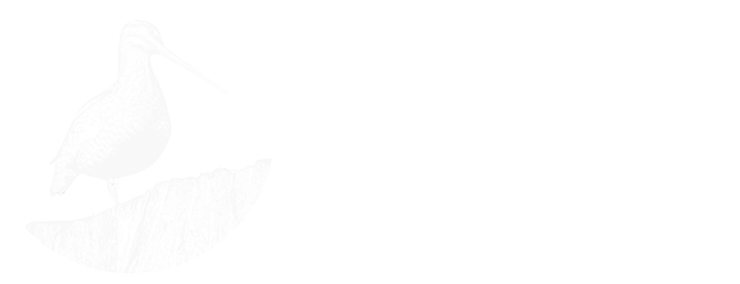 Karol Nochowicz